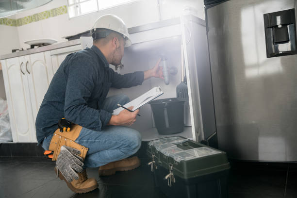 Best Drain Cleaning Services  in Hainesvle, IL