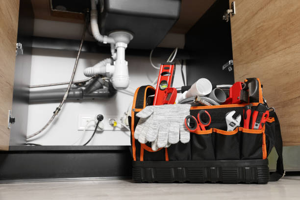 Best Emergency Plumbing Repair  in Hainesvle, IL