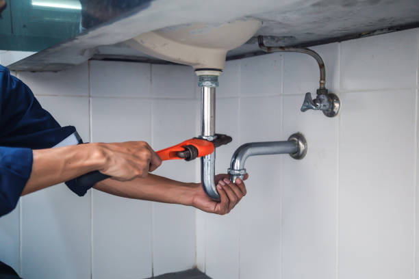 Best Affordable Plumber Near Me  in Hainesvle, IL