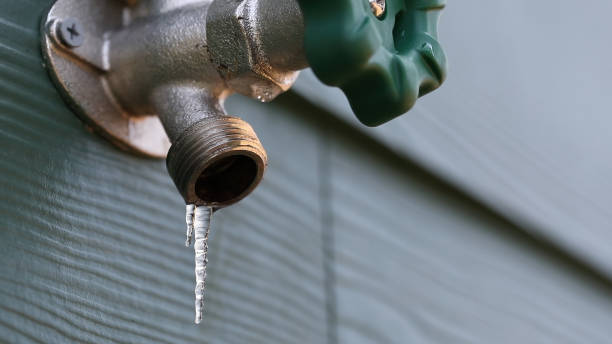 Best Emergency Plumber  in Hainesvle, IL