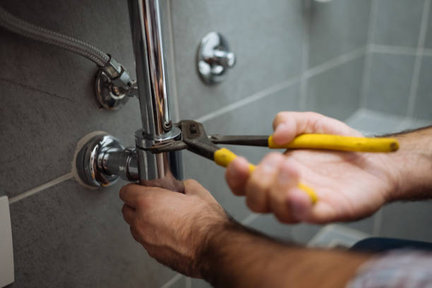 Best Plumbing Installation Services  in Hainesvle, IL