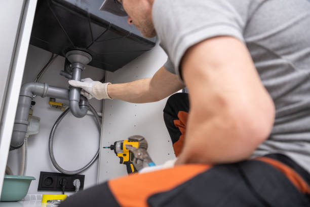 Best Affordable Plumbing Services  in Hainesvle, IL