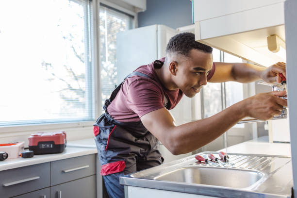 Best Commercial Plumbing Services  in Hainesvle, IL